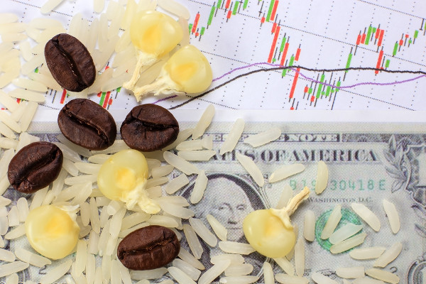 Commodities Grãos de arroz, café e milho sobre nota de dólar