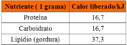 Tabela com nutrientes e calorias liberadas
